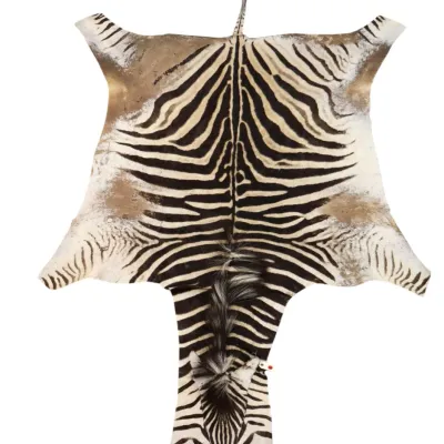 Sale Photo Thumbnail #80: Vintage Natural zebra hide rug featuring distinct black and cream striping, intact mane, and tail detail.