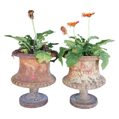 Sale Photo Thumbnail #262: Pair of vintage cast iron pedestal urn planters with a heavily rusted patina, planted with flowering gerbera daisies.