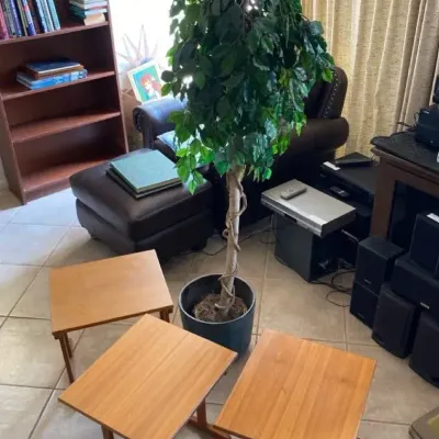 MCM Stacking Tables and Faux Tree