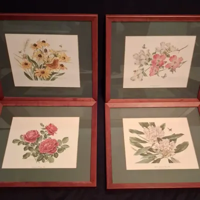 Anne Ophelia Todd Dowden 1974 Botanical Floral Prints Set of Four