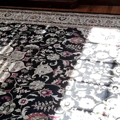 Dynamic Rugs Black Floral Shiraz Area Rug 8' x 11'