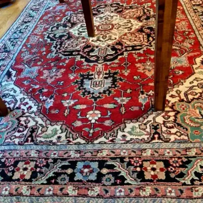 Hand-Knotted Indian Wool Area Rug 