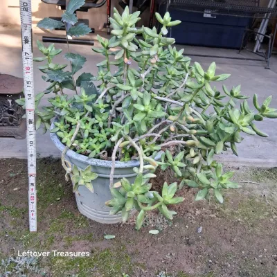 Sale Photo Thumbnail #848