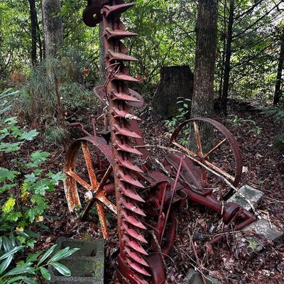 Sale Photo Thumbnail #117: Vintage horse-drawn sickle mower painted red, with spoked iron wheels and visible weathering, sitting in a wooded area.