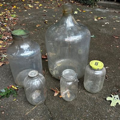 Sale Photo Thumbnail #43: Collection of five vintage clear glass jugs and jars, including a large carboy jug, a bail-handled jar with green metal lid, and a wire-bale closure jar.