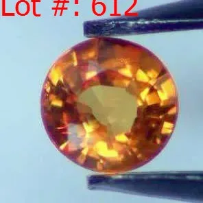 Sale Photo Thumbnail #611