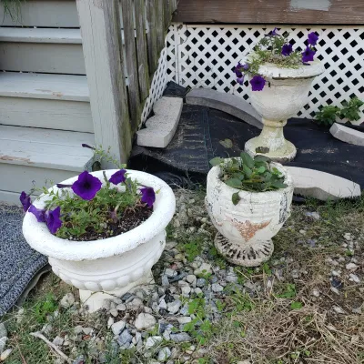 Sale Photo Thumbnail #178