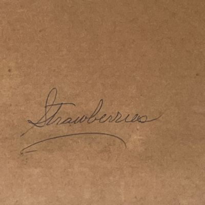 LOT 55: Strawberry Deco Lot