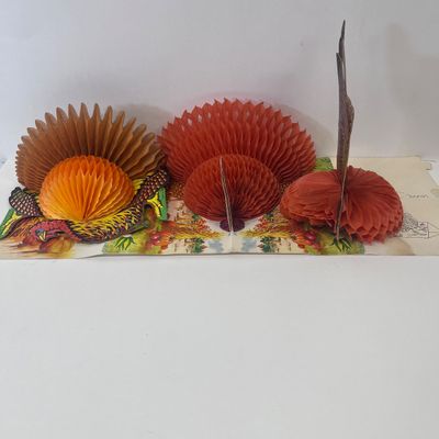 LOT 60: Thanksgiving Lot