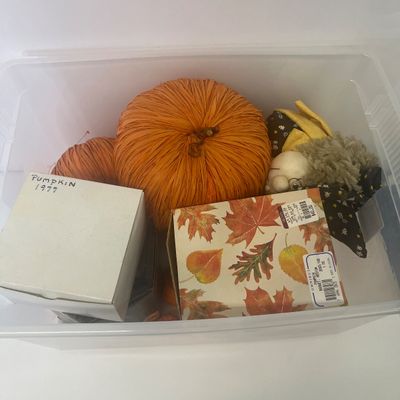 LOT 65: Halloween Pumpkin Lot
