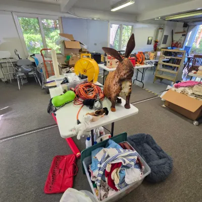 Sale Photo Thumbnail #72