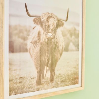 Sale Photo Thumbnail #69: Framed photographic print of a Highland cow in a light natural wood frame.