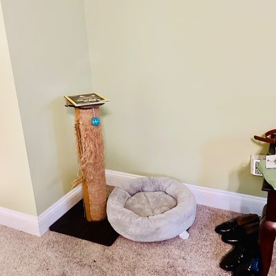 Sale Photo Thumbnail #84: Sisal rope cat scratching post with hanging ball toy alongside a plush round gray pet bed.