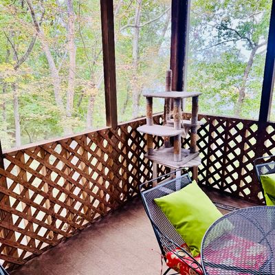 Black wrought iron patio set with mesh table and chairs featuring lime green cushions, alongside a multi-tiered carpeted cat tree on a...