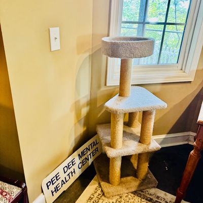 Sale Photo Thumbnail #53: Multi-tier carpeted cat tree with sisal scratching posts, shown beside a vintage 'Pee Dee Mental Health Center' sign.