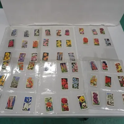 Sale Photo Thumbnail #133