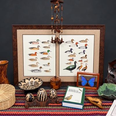 Sale Photo Thumbnail #26: Collection of global decor and nature-inspired collectibles, including a framed duck print set, a framed blue morpho butterfly specimen, a copy of 'Birds of Honduras', carved wooden objects, pottery, and woven baskets.