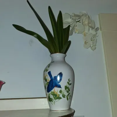 Sale Photo Thumbnail #585: A j rudisill the bluebirds of summer porcelain vase