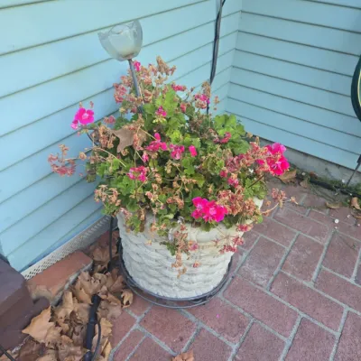 Sale Photo Thumbnail #533: Cast stone basket weave garden planter