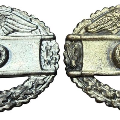 Sale Photo Thumbnail #342: A Pair of WWII Pinback United States Army Combat Medical Badges