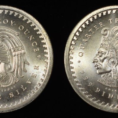 Sale Photo Thumbnail #404: (2) 1/4 OZ .999 SILVER ROUNDS