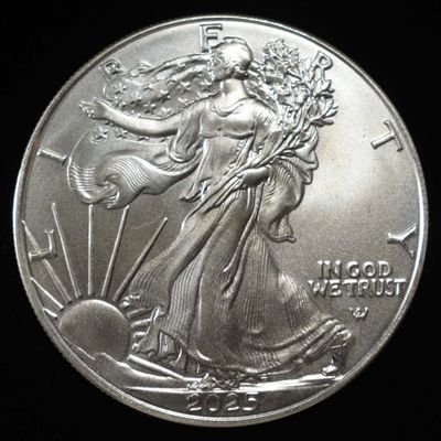 Sale Photo Thumbnail #124: 2025 AMERICAN SILVER EAGLE