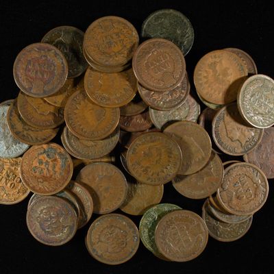 Sale Photo Thumbnail #125: (50) INDIAN HEAD CENTS