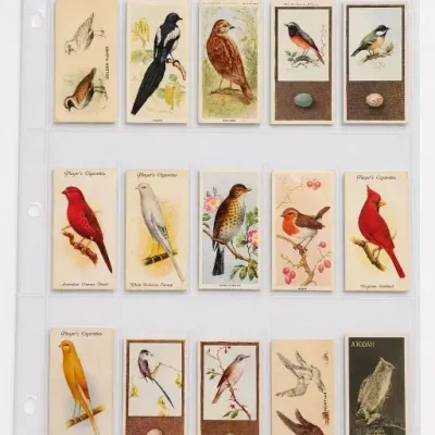 Sale Photo Thumbnail #152
