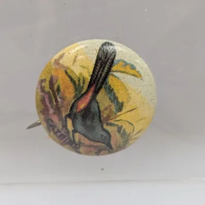 Sale Photo Thumbnail #131: Vintage pinback button featuring an illustration of a Catbird, showing light surface wear.