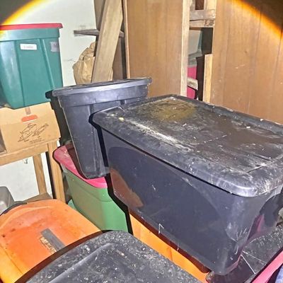 Sale Photo Thumbnail #151
