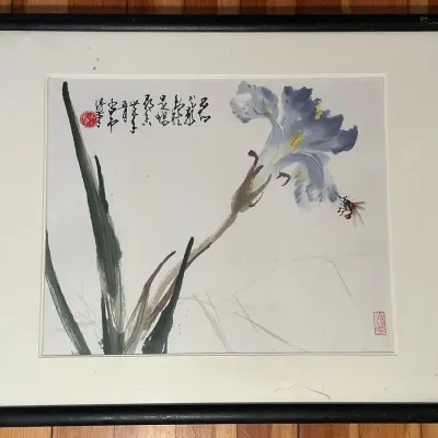 East Asian Blue Iris Watercolor (21 x 17)
