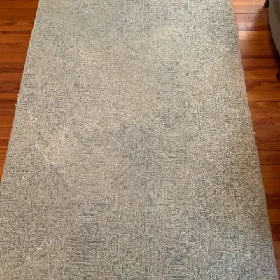 Crate & Barrel Trystan Rug (5’X8’)
