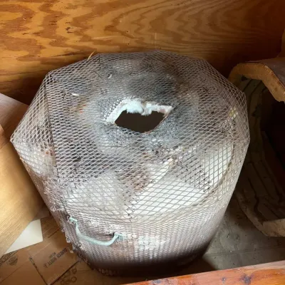 Raku Kiln