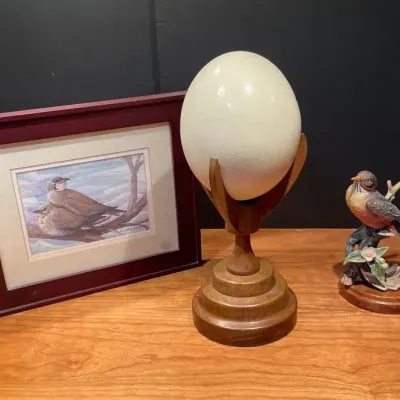 Bird Art Including Real Ostrich Egg