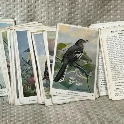 Vintage Allan Brooks Audubon Bird Illustration Collector Cards – Assorted Lot