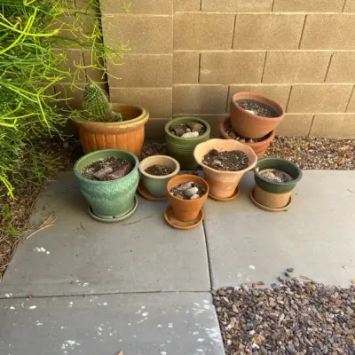 No Plastic Potting Pots!
