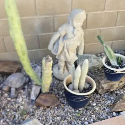 A Concrete Statue Of A Little Girl Standing And Two Potted Cactus Plants