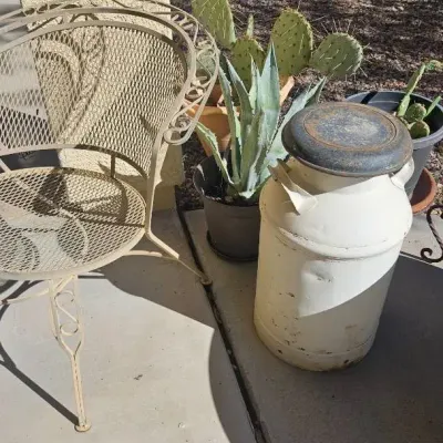 Vintage Milk Can, Metal Chair And Plants