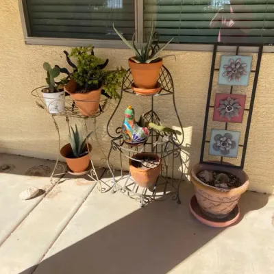 Plants, Plant Stands And Decor