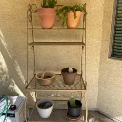 A Backyard Metal Plant Stand With Six Small Plants