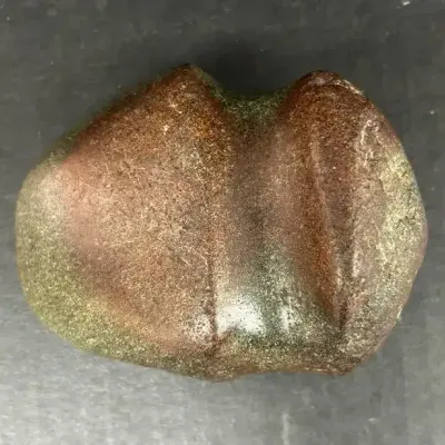 Neolithic Groove Axe Head