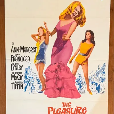 Original Rare 1965 The Pleasure Seekers W/ Ann-Margret Movie Poster