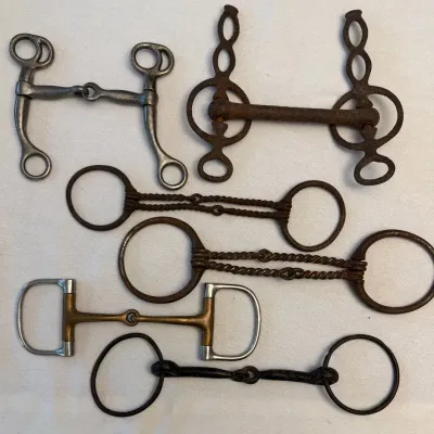 6 - Antique Horse Bits, Brass, Chrome, Cast Iron