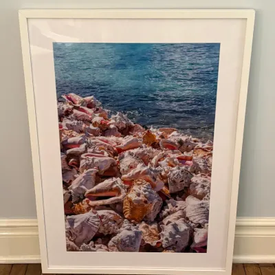 Framed photographic art print featuring a beach covered in conch shells beside blue ocean waters, housed in a simple white frame with...