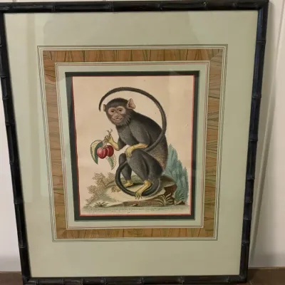 Sale Photo Thumbnail #128: Framed vintage botanical illustration of a monkey holding fruit, featuring elaborate French matting and a dark faux-bamboo frame.