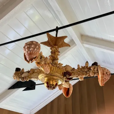Sale Photo Thumbnail #156: Coastal-style hanging chandelier adorned with various natural seashells and starfish.