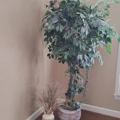 6-Foot Artificial Ficus Tree with Decorative Planter & Floral Vase with Dried Arrangement 