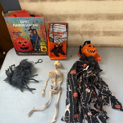 Sale Photo Thumbnail #377: Assortment of Halloween decorations and novelties. Includes a vintage Giant Pumpkin Leaf Bag in original box, a Squished Witch door/wall decor item in original box, a furry spider, a plastic skeleton figure, and a jack-o'-lantern hanging windsock/streamer