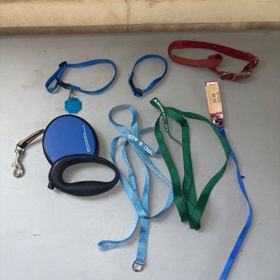 Sale Photo Thumbnail #360: An assortment of dog leashes and collars including a blue retractable leash with a black handle, a blue nylon collar with a flower-shaped tag, a small blue collar, a red woven collar, and multiple fabric leashes in green, light blue, and blue. Items show 