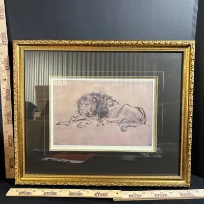 “Lion Resting” By Rembrandt van Rijn